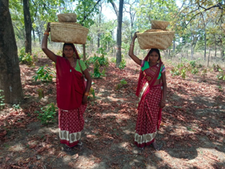A couple of women carrying baskets on their headsDescription automatically generated with low confidence