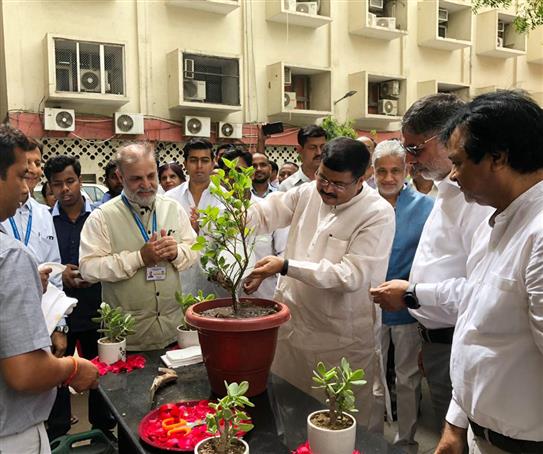 The Union Minister for Petroleum & Natural Gas and Steel, Shri Dharmendra Pradhan planting a sapling at gate No-4 of Shastri Bhawan, as the Swachh Bharat Pakhwada 2019, observed by Ministry of PNG, concludes, in New Delhi on July 15, 2019. The Secretary, Ministry of Petroleum & Natural Gas, Dr. M.M. Kutty is also seen. 