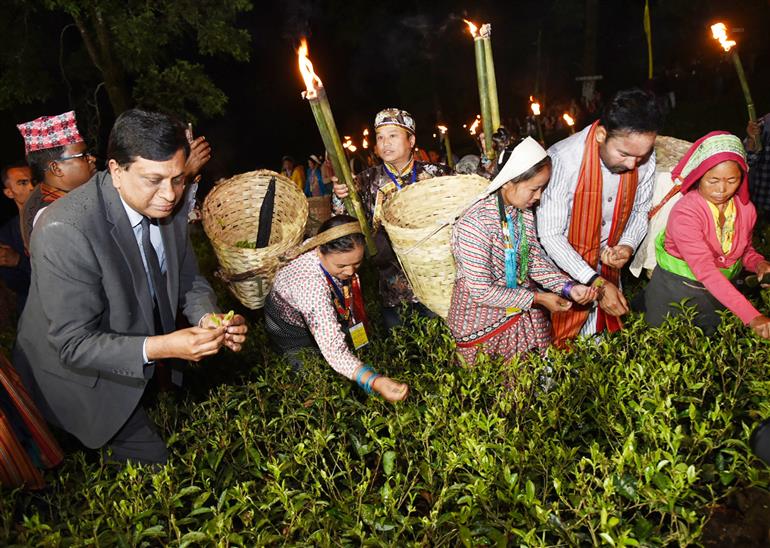 The Union Minister for Culture, Tourism and Development of North Eastern Region (DoNER), Shri G. Kishan Reddy with delegates participating in Moonlight tea plucking and tea tasting at Darjeeling, in West Bengal on April 1, 2023.