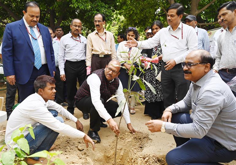 The Secretary, Legislative Department, Dr. Rajiv Mani planting a sapling under Swachhata Pakhwada organised by Legislative Department, in New Delhi on April 15, 2024.
