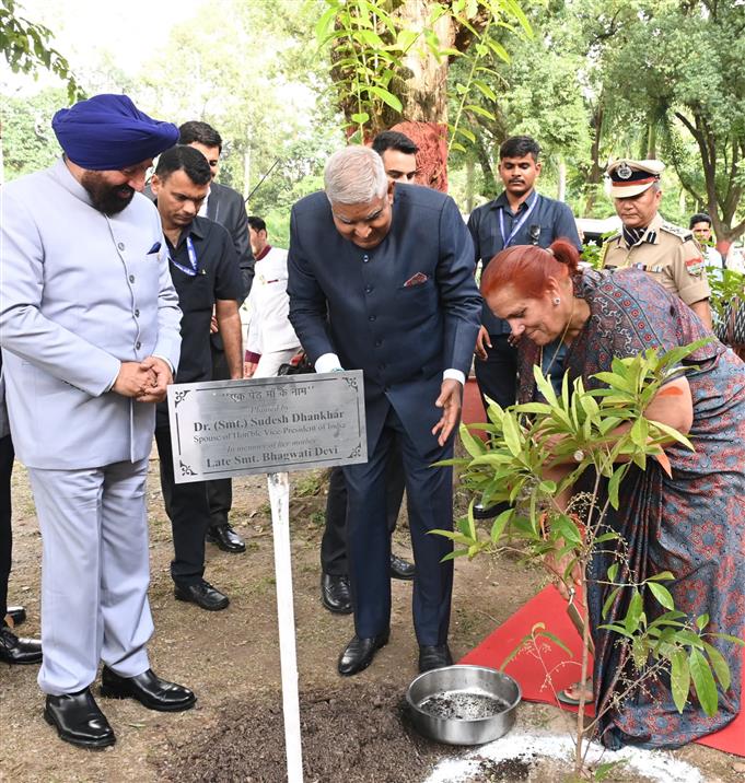उपराष्ट्रपति श्री जगदीप धनखड़ और डॉ. सुदेश धनखड़ 31 अगस्त, 2024 को देहरादून में सीएसआईआर भारतीय पेट्रोलियम संस्थान के परिसर में पौधारोपण करते हुए।