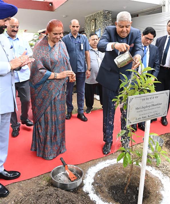 उपराष्ट्रपति श्री जगदीप धनखड़ और डॉ. सुदेश धनखड़ 31 अगस्त, 2024 को देहरादून में सीएसआईआर भारतीय पेट्रोलियम संस्थान के परिसर में पौधारोपण करते हुए।