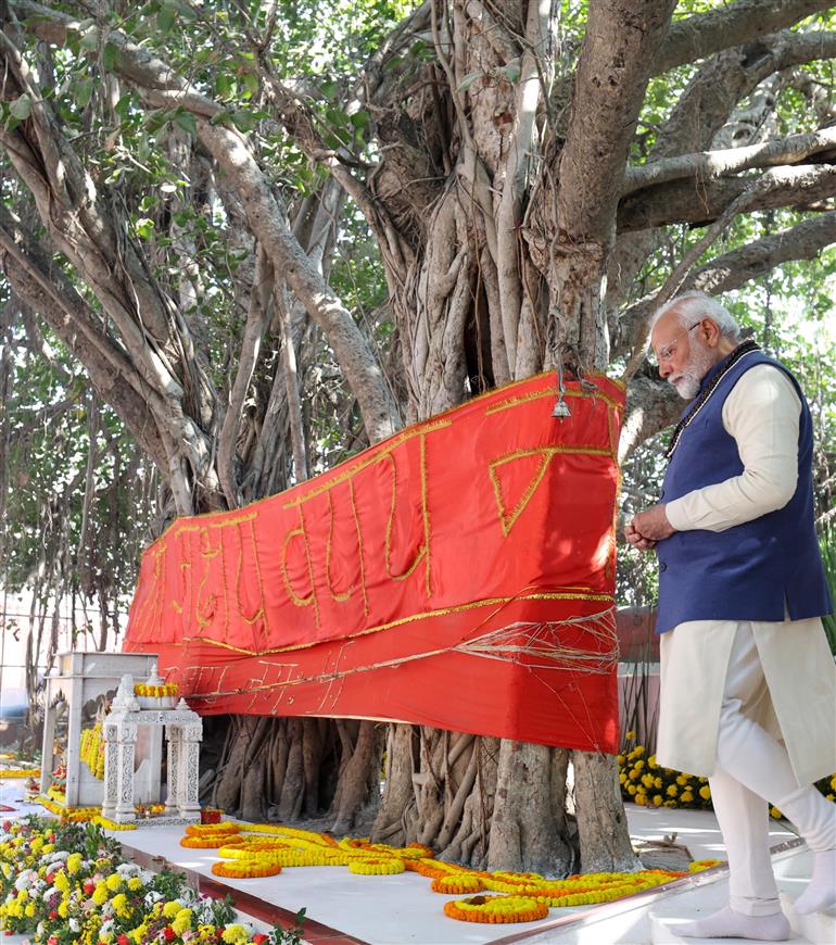 PM performs pooja at Akshay Vata Vriksh, in Prayagraj, Uttar Pradesh on December 13, 2024.