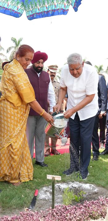 उपराष्ट्रपति श्री जगदीप धनखड़ और डॉ. सुदेश धनखड़ 30 मई, 2024 को उत्तराखंड के पंतनगर में गोविंद बल्लभ पंत कृषि एवं प्रौद्योगिकी विश्वविद्यालय के परिसर में सफेद चंदन का पौधा लगाते हुए।