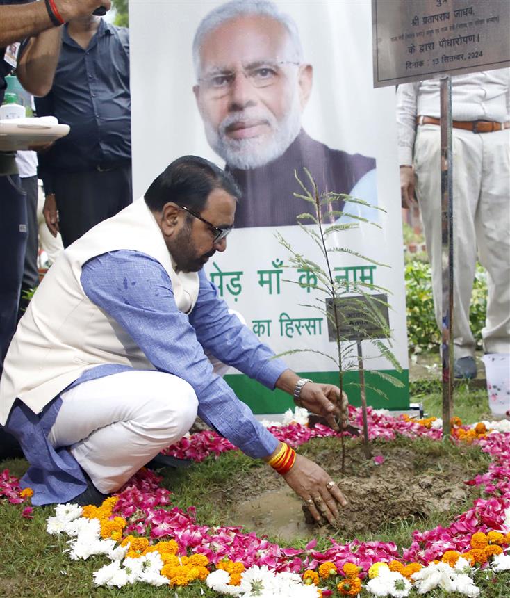 The Minister of State (Independent Charge) for Ayush and Health and Family Welfare, Shri Prataprao Jadhav planting a sapling during the campaign “Ek Ped Maa ke Naam”, in New Delhi on September 13, 2024.