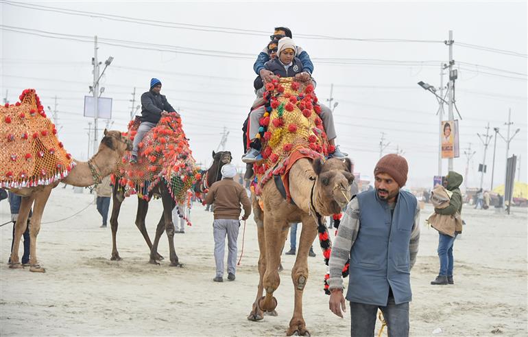 Glimpses of preparations for Maha Kumbh 2025 in full swing at Prayagraj, in Uttar Pradesh on January 07, 2025. :Ministry of Culture