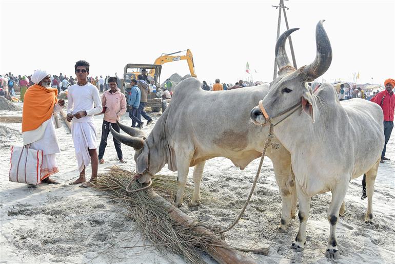 Glimpses of Roadside activities and Snan during the preparation of Maha-Kumbh Mela 2025 at Prayagraj, in Uttar Pradesh on January 10, 2025.:Ministry of Culture