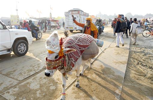 Glimpses of Roadside activities and Snan during the preparation of Maha-Kumbh Mela 2025 at Prayagraj, in Uttar Pradesh on January 11, 2025.:Ministry of Culture