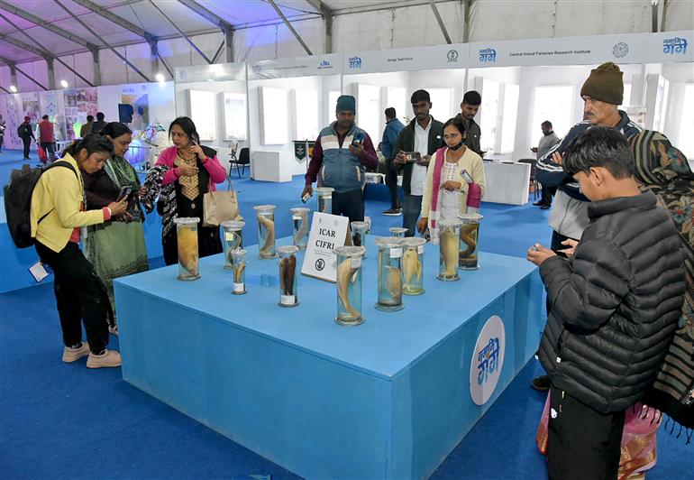 People visiting Namami Gange Exhibition at Maha Kumbh Mela at Prayagraj. Photo captured on January 17, 2025.:Ministry of Culture