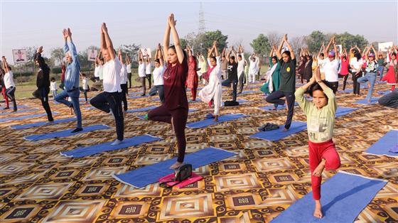 Marking the 87th day countdown to International Day of Yoga 2025, Central Council for Research in Yoga & Naturopathy (CCRYN), Delhi conducted a Common Yoga Protocol (CYP) and Yoga Fusion session at Central Research Institute of Yoga and Naturopathy (CRIYN), in Jhajjar on March 26, 2025.:AYUSH