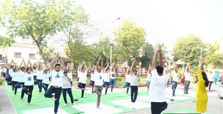 Glimpses of ‘Yoga Mahotsav’ to marking the 85-day countdown to International Day of Yoga 2025 wherein hundreds of participants joined the Common Yoga Protocol session with enthusiasm at Regional Ayurveda Research Institute, in Nagpur on March 29, 2025.:AYUSH