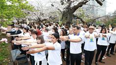 The Embassy of India in Tokyo hosted a Curtain Raiser event for IDY 2025, where a large number of Yoga practitioners gathered under the iconic Cherry Blossoms on March 29, 2025.:AYUSH