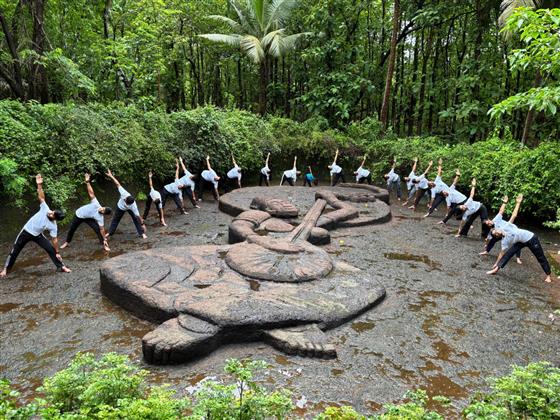 The All India Institute of Ayurveda (AIIA) Celebrates 11th IDY with Harita Yoga Treks at Iconic location across Goa, under Harita Yoga campaign, on June 15, 2025.:AYUSH