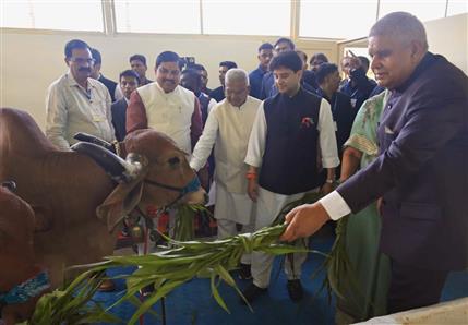 The Vice President of India, Shri Jagdeep Dhankhar at the inauguration of ‘Model Gaushala and Natural Farming Unit’ at Rajmata Vijayraje Scindia Krishi Vishwavidyalaya in Gwalior, Madhya Pradesh on May 4, 2025.