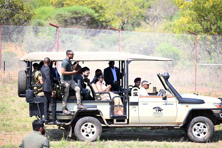 The President of India, Smt Droupadi Murmu and the President Duma Gideon Boko witnessed the release of captured cheetahs originating from Botswana’s Ghanzi region into the quarantine facility by experts from India and Botswana, in Botswana on November 13, 2025. The event symbolized Botswana’s gifting of eight cheetahs to India under the next phase of Project Cheetah.