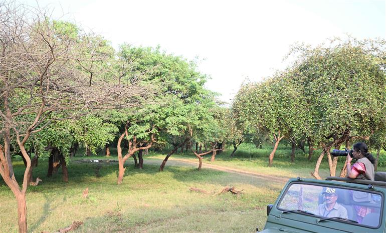 The President of India, Smt Droupadi Murmu visited Gir National Park also interacted with the local tribal people at Sasan Gir, in Gujarat on October 10, 2025.
