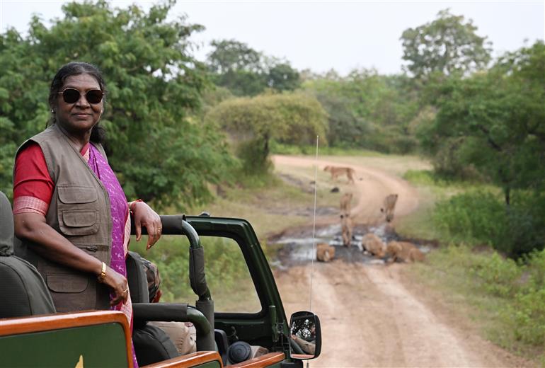 The President of India, Smt Droupadi Murmu visited Gir National Park also interacted with the local tribal people at Sasan Gir, in Gujarat on October 10, 2025.