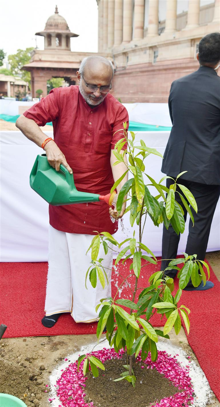 The Vice President of India, Shri C.P. Radhakrishnan planting a sapling at Parliament House, in New Delhi on September 12, 2025.