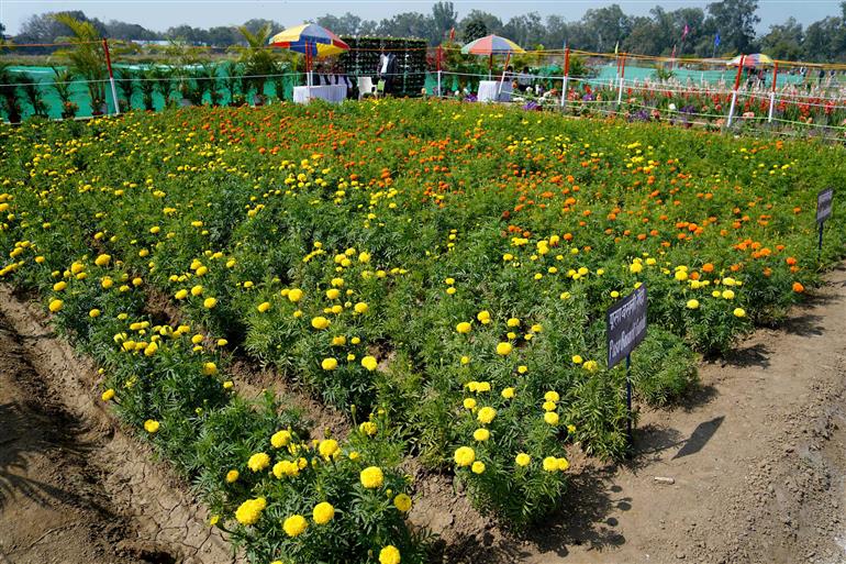 25 फरवरी, 2026 को नई दिल्ली में "पूसा कृषि विज्ञान मेले" की झलकियां।