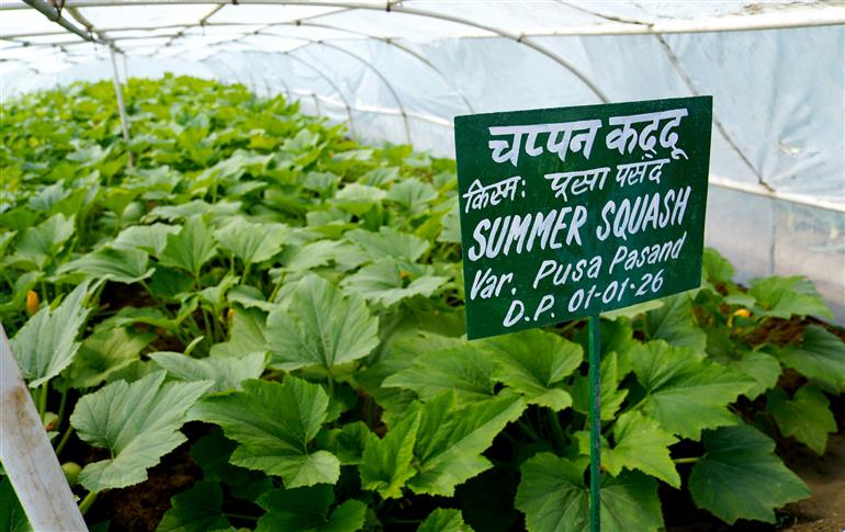 25 फरवरी, 2026 को नई दिल्ली में "पूसा कृषि विज्ञान मेले" की झलकियां।