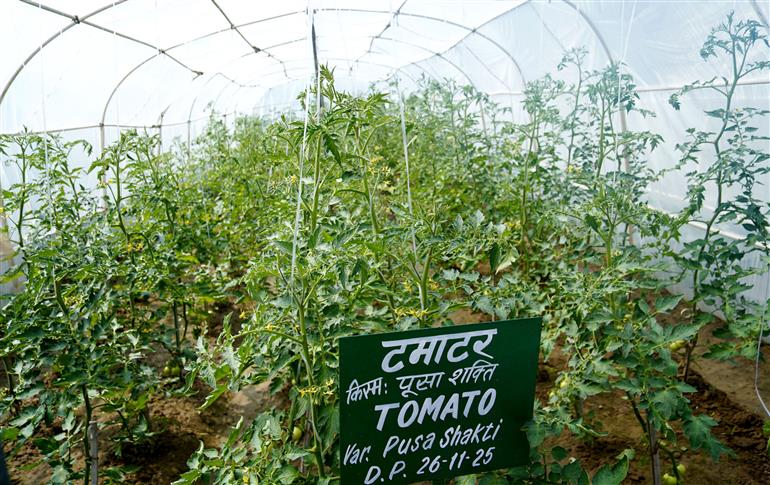 25 फरवरी, 2026 को नई दिल्ली में "पूसा कृषि विज्ञान मेले" की झलकियां।