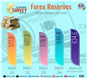 Foreign-Exchange-Reserves