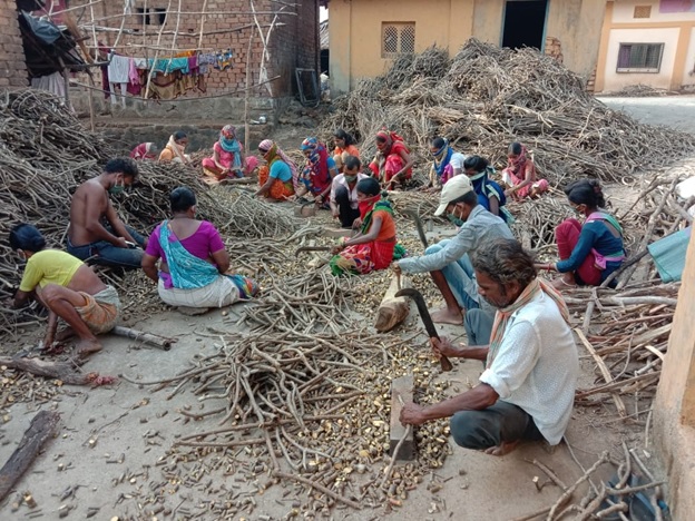 Van Dhan Kendras in Maharashtra: Helping Transform Lives and Livelihoods
