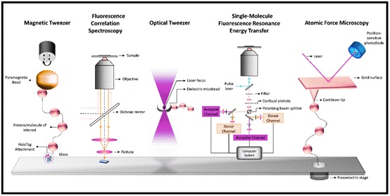 Figure1.tif