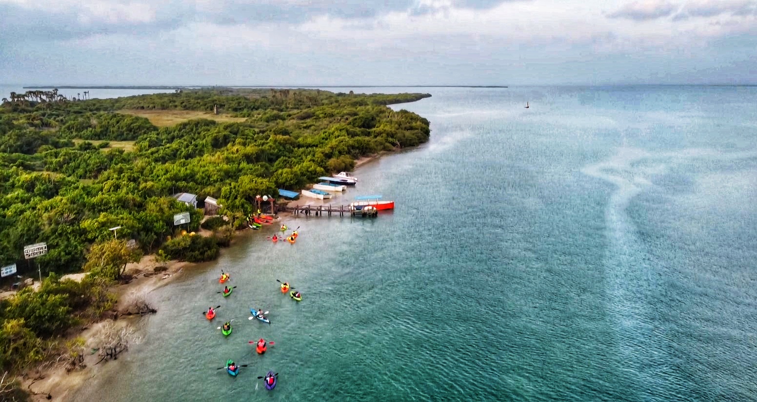 press-release-press-information-bureau