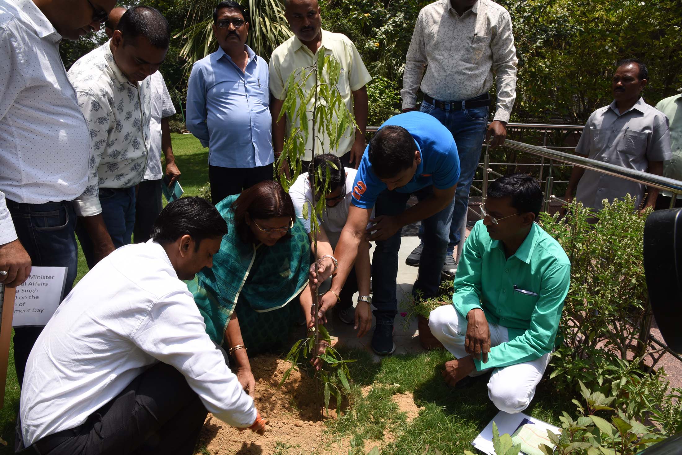 Smt. Renuka Singh plants tree sapling on World Environment Day