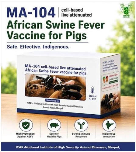 Indian Council of Agricultural Research. on X: "A major leap in animal health! #ICAR-NIHSAD develops an indigenous MA-104 cell-based live attenuated vaccine against African Swine Fever—protecting pigs and securing livelihood. @ChouhanShivraj @PIB_India @