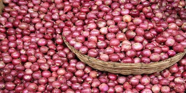 Image result for agriculture ministry onions