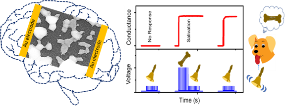 mimicking the human brain