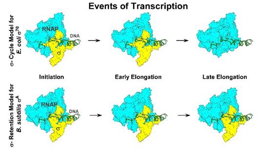 A map of events of transcriptionAI-generated content may be incorrect.