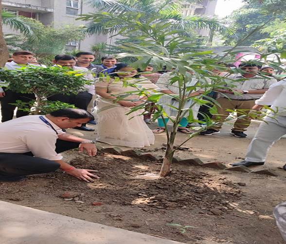 Tree Plantation PDUNIPPD