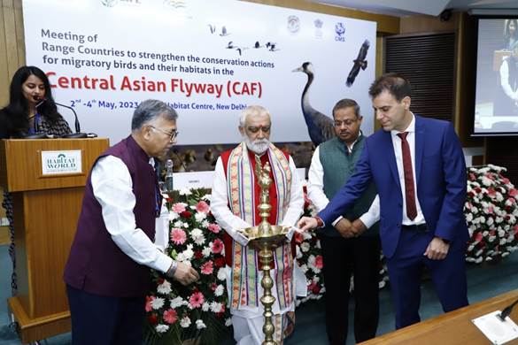 Range Countries to strengthen conservation efforts for migratory birds and their habitats in the Central Asian Flyway (CAF)