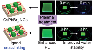 Description: C:\Users\Santra Lab\Dropbox\Research\Manuscript\Plasma enhaned PL and Stability\Final figures\TOC2_V3.2 copy-01.png