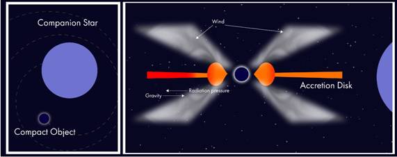 The physical systems around a stellar remnant in an accreting binary system. (Image Credit: RRI). 