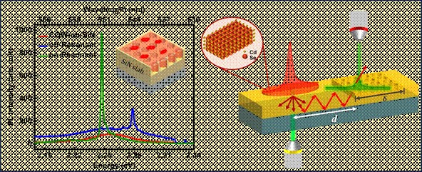 A diagram of a diagram of a cell Description automatically generated with medium confidence 