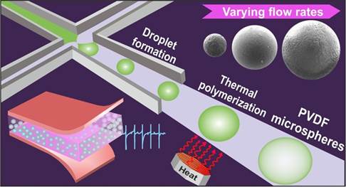 A diagram of a scientific experimentDescription automatically generated