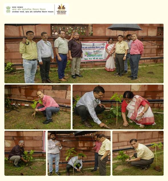 EK ped maan ke naam.jpg