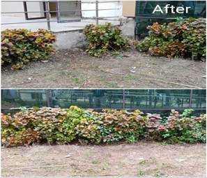 WhatsApp Image 2025-10-29 at 3.00.54 PM.jpeg