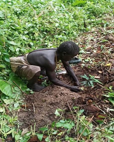 A person digging in the dirtAI-generated content may be incorrect.