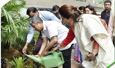 TREE PLANTATION.jpg