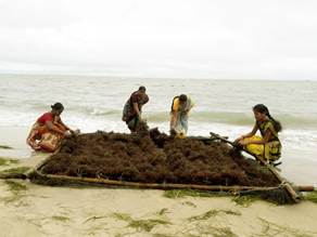 A group of women working on a beachAI-generated content may be incorrect.