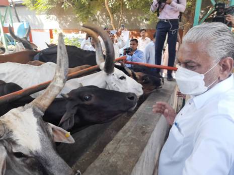 World Animal Day celebrated by the AWBI on 4th October, 2021 Day is  observed globally to raise the status of animals in order to improve  welfare standards Minister launches website to benefit end users of Animal  Welfare Such celebrations spread the ...