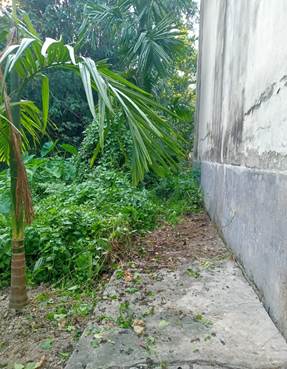 WhatsApp Image 2025-10-29 at 3.35.38 PM.jpeg