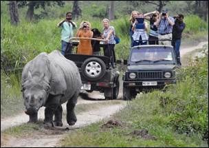 Kaziranga National Park collects highest revenue of Rs 6 Cr: Over 2.7 Lakh  tourist visited - TIME8