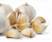 Image of fresh garlic bulbs and cloves on white background