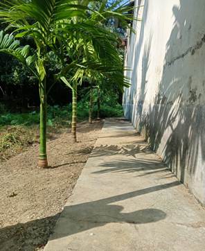 WhatsApp Image 2025-10-29 at 3.35.39 PM.jpeg